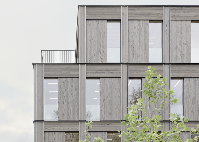 © Zooey Braun © Zooey Braun