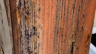 © Maler Spohn GmbH © Maler Spohn GmbH